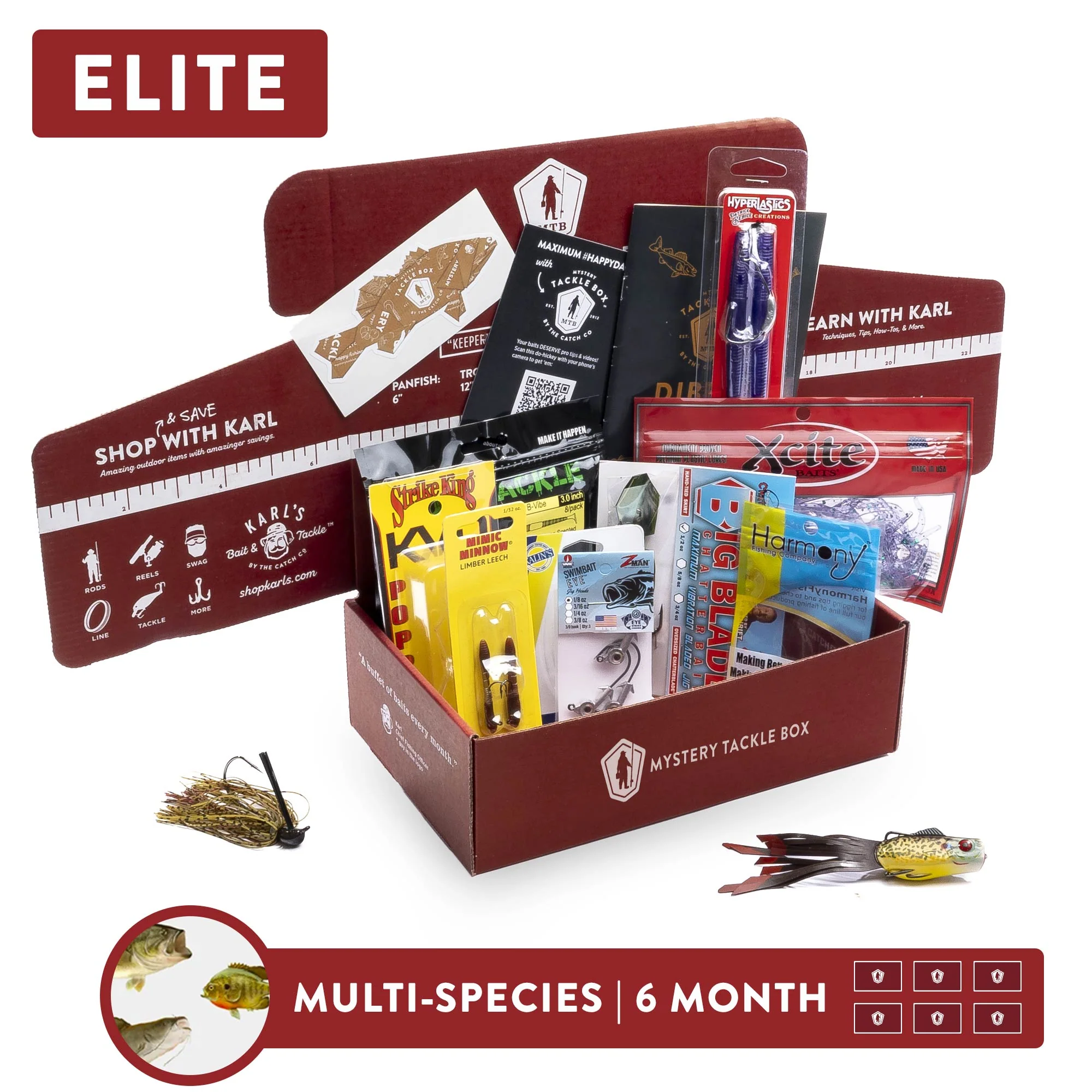 Elite Gift | 6 Month - Image 3
