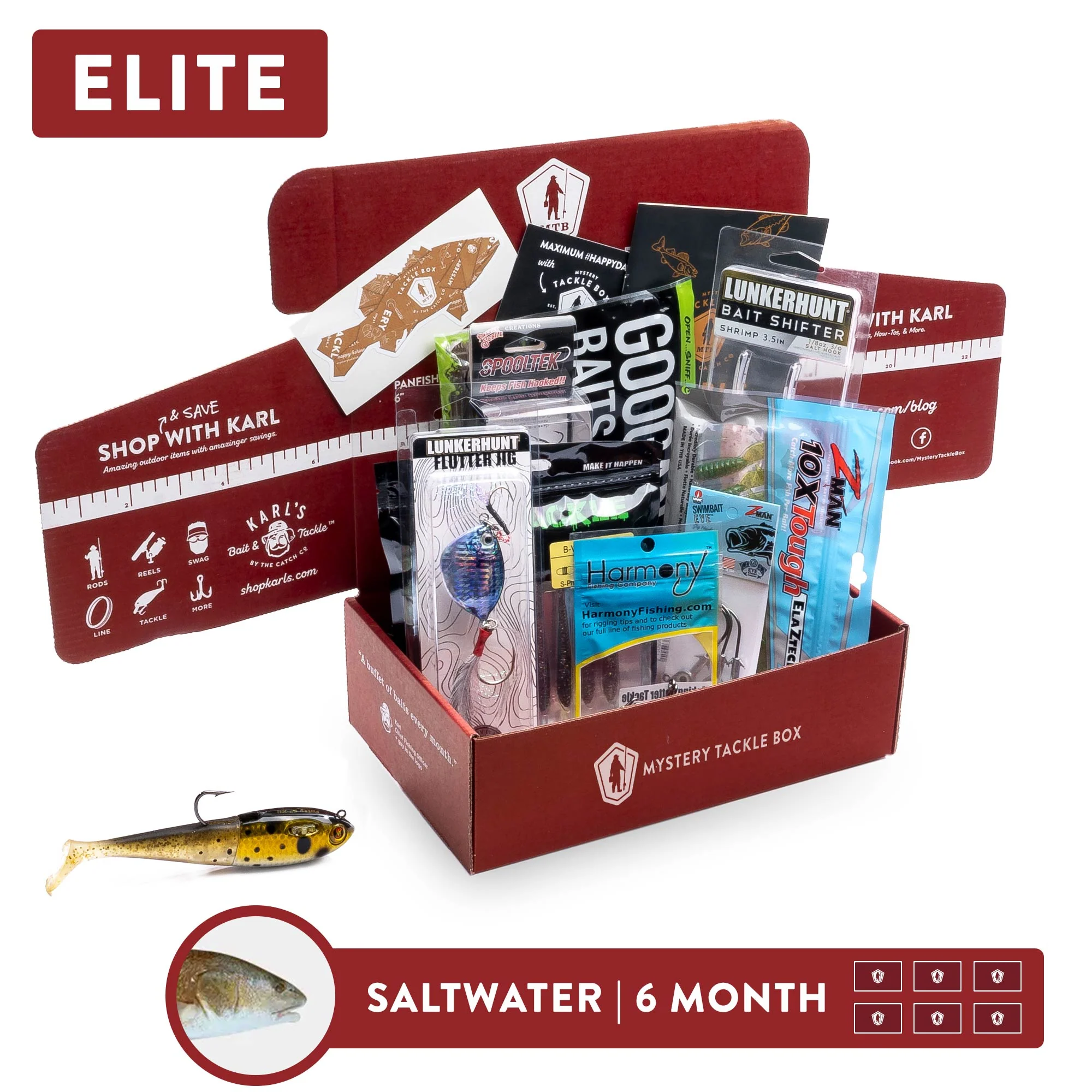 Elite Gift | 6 Month - Image 4