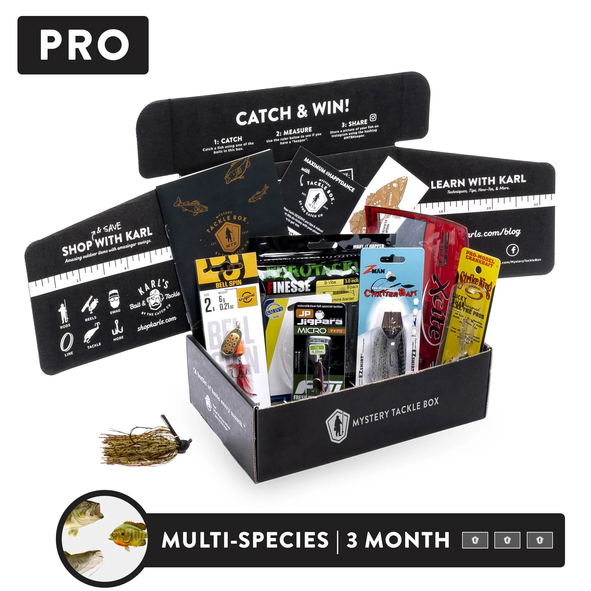 Pro | 4 Month - Image 3