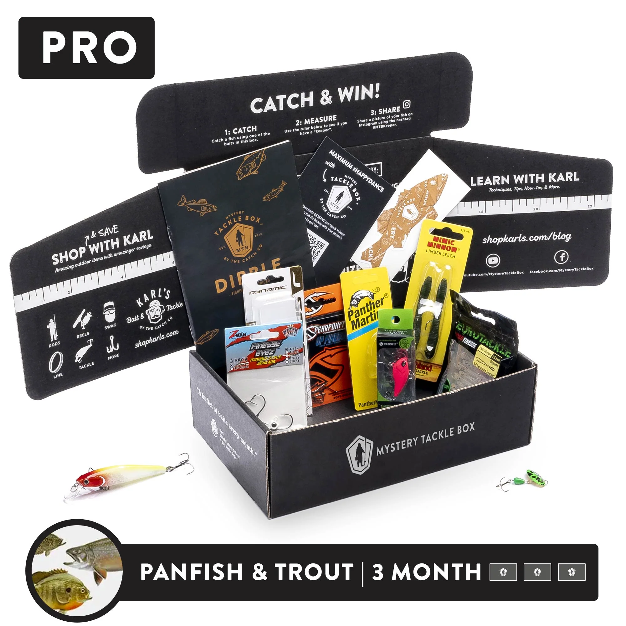 Pro | 4 Month - Image 4